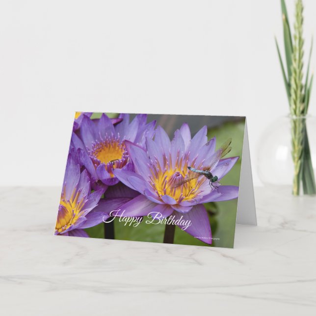 Dragonfly no cartão de aniversário da Lily (Frente)