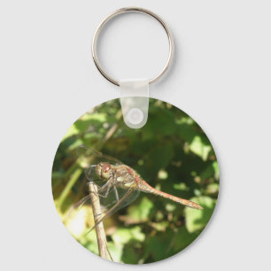 Dragonfly num Chaveiro Twig