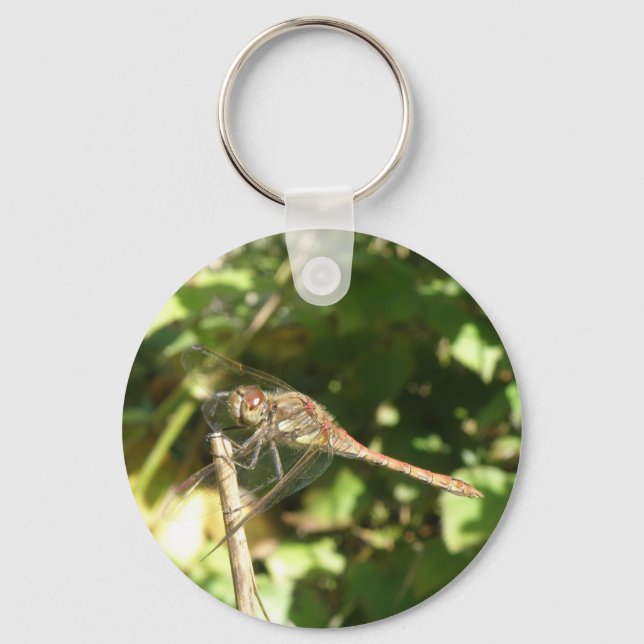 Dragonfly num Chaveiro Twig (Frente)