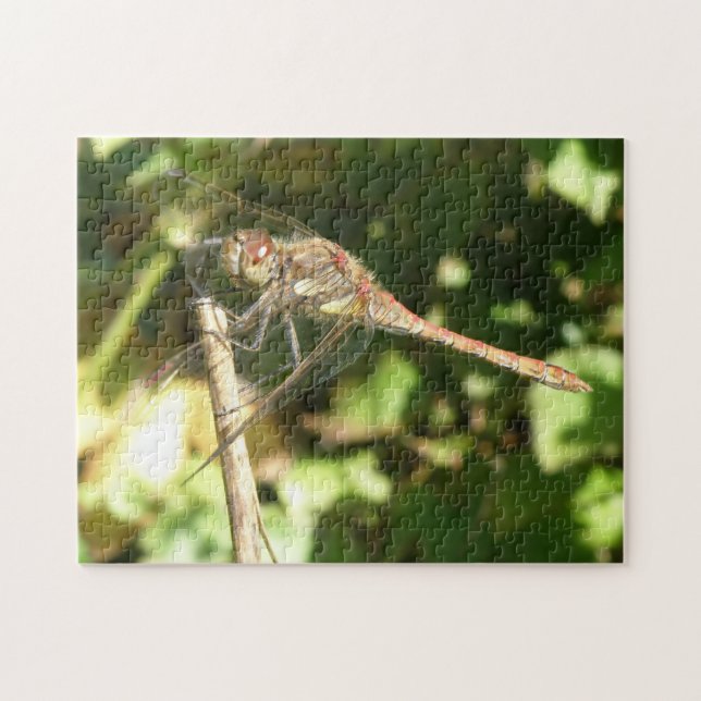 Dragonfly num Quebra-cabeça Twig (Horizontal)