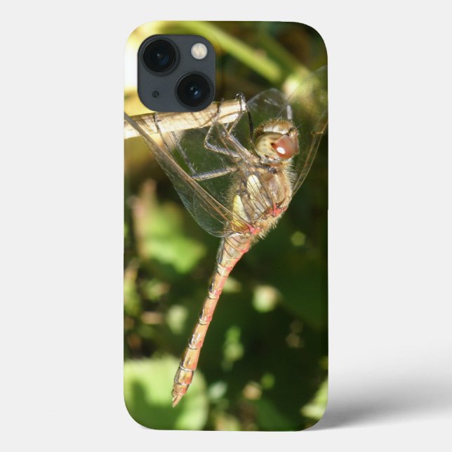 Dragonfly on a Twig iPad Case (Verso)