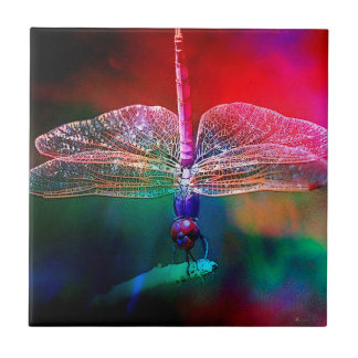 DRAGONFLY PINK DELIGHT.jpg