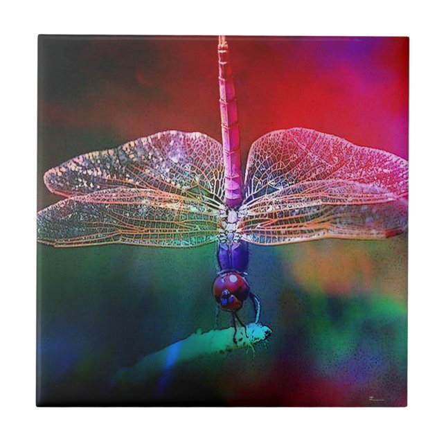 DRAGONFLY PINK DELIGHT.jpg (Frente)