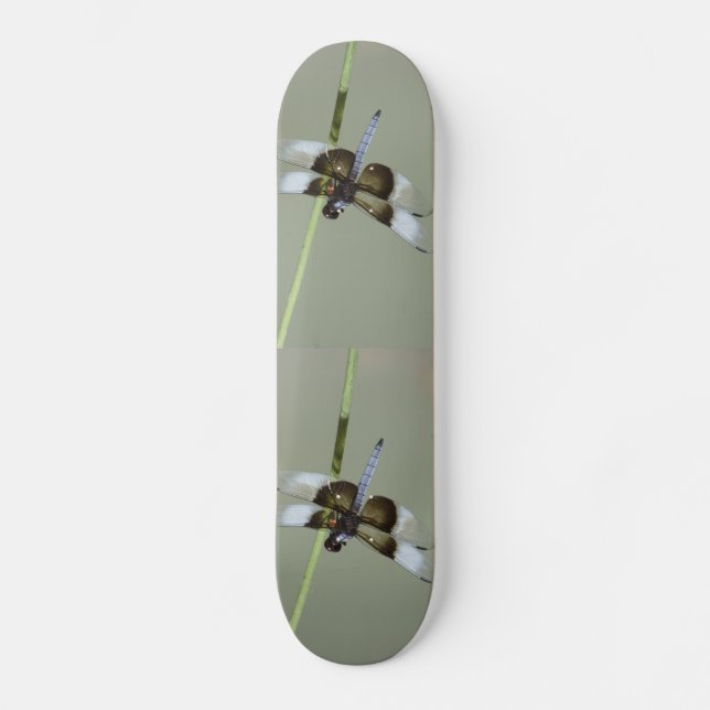 Dragonfly Skateboard (Frente)