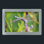 Dragonfly Teal & Purple<br><div class="desc">Dragonfly Teal & púrpura Rainbow Dragonfly Rainbow Dragonfly Dragonfly Blue Dragonfly sobre flores roxas. Dragão, mosca, moscas, libélulas, libélulas, voando, dragões, insetos, insetos, jardim, natureza, crescimento, plantas, libélulas e moscas-damascos, </div>