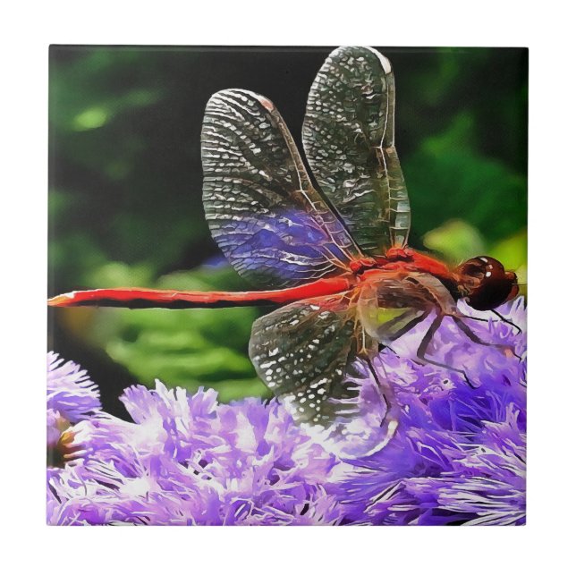 Dragonfly Vermelha em Flores Violetas Roxos (Frente)