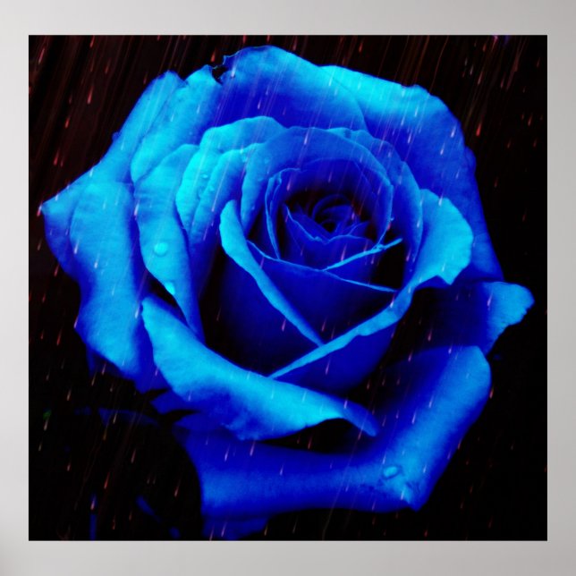 Drama Do Impressão Poster Rosa Azul (Frente)