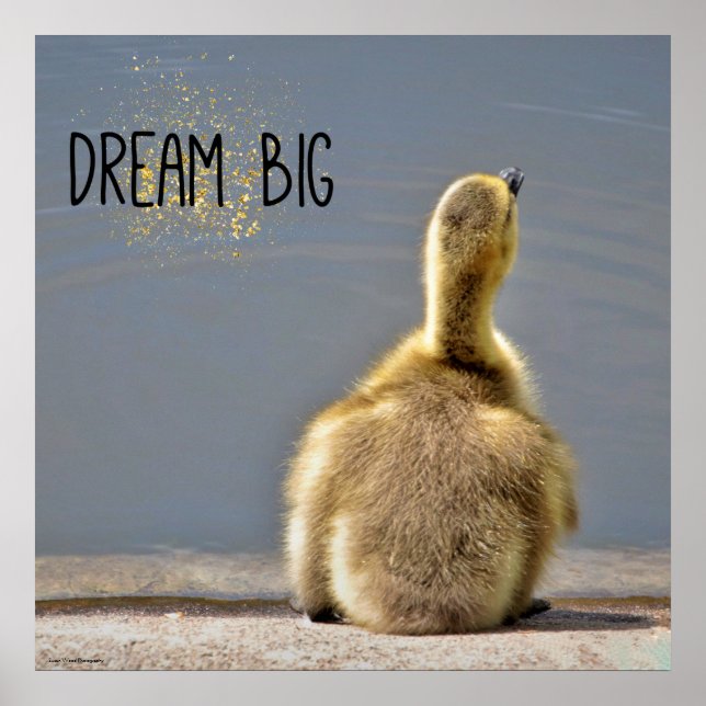 Dream Big Motivational Poster (Frente)
