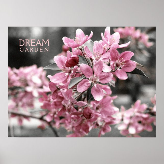 Dream Garden Poster (Frente)