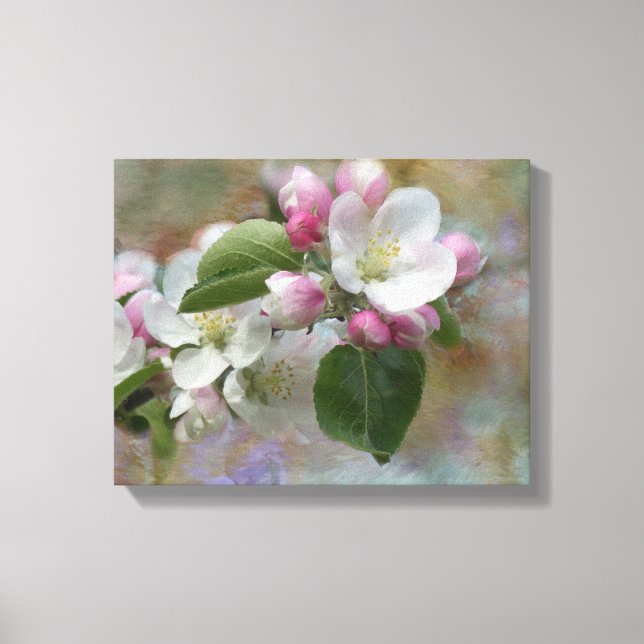 Dreamy Apple Blossoms Canvas Print (Frente)