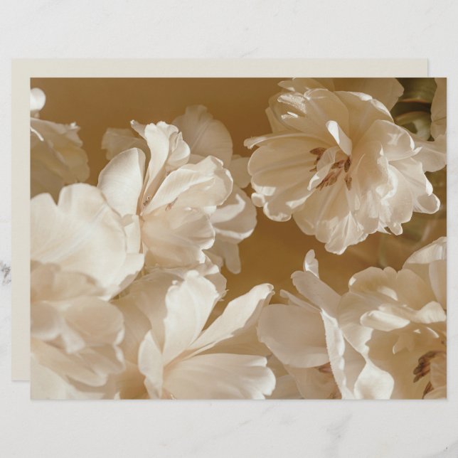 Dreamy beige floral Elegant Scrapbook Paper (Frente/Verso)