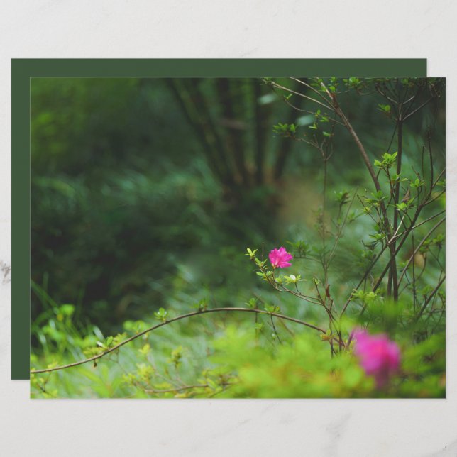 Dreamy forest flower Scrapbook Paper (Frente/Verso)