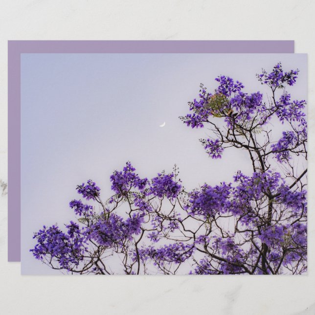 Dreamy pastel spring tree Scrapbook Paper (Frente/Verso)