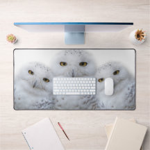 Dreamy Snowy Ows Família Engraçada tendo um Hoot