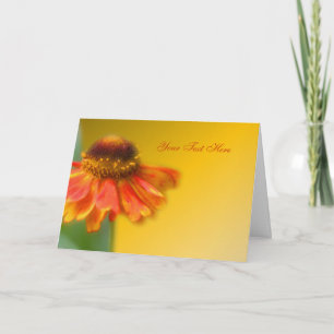 Dreamy Zinnia Flower Cartão com fotos