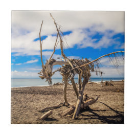 Driftwood trabalho de arte em Hokitika Beach, Nova