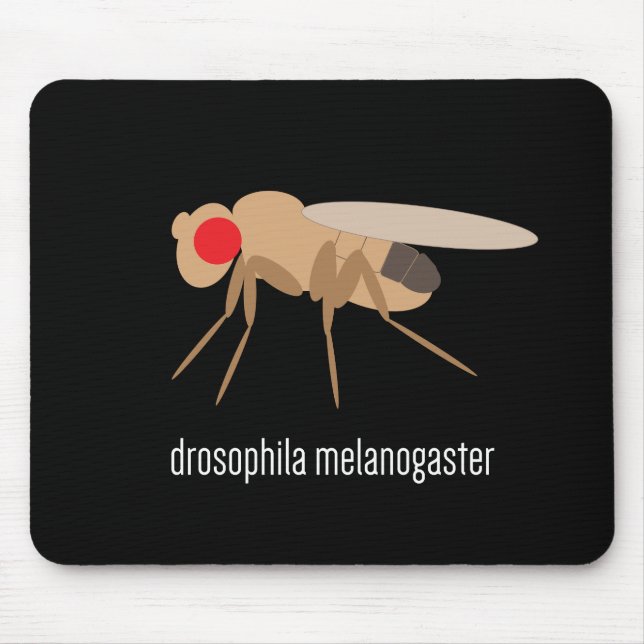 Drosófila Mousepad (Frente)