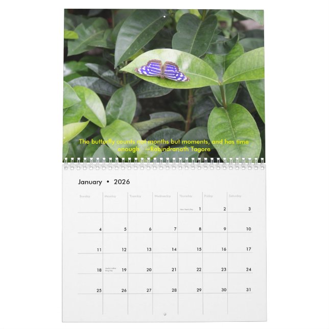 DSC00452, calendário 2009 da borboleta (Jan 2026)