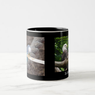 DSC04582, DSC04495, a caneca de Sally