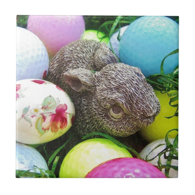 DSCF0438.JPG (Frente)