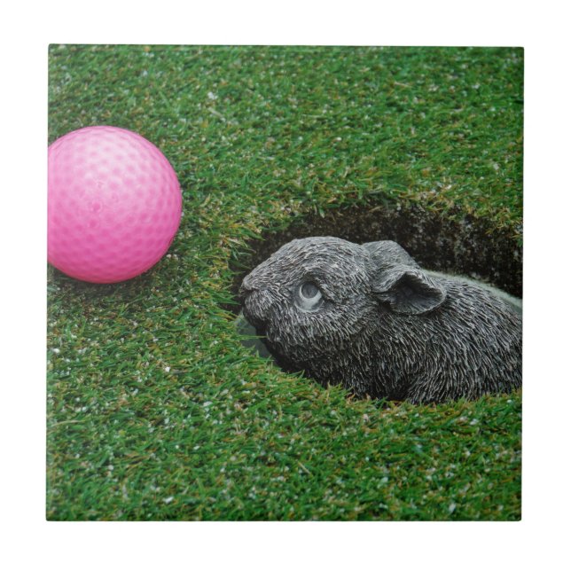 DSCF0652.JPG (Frente)