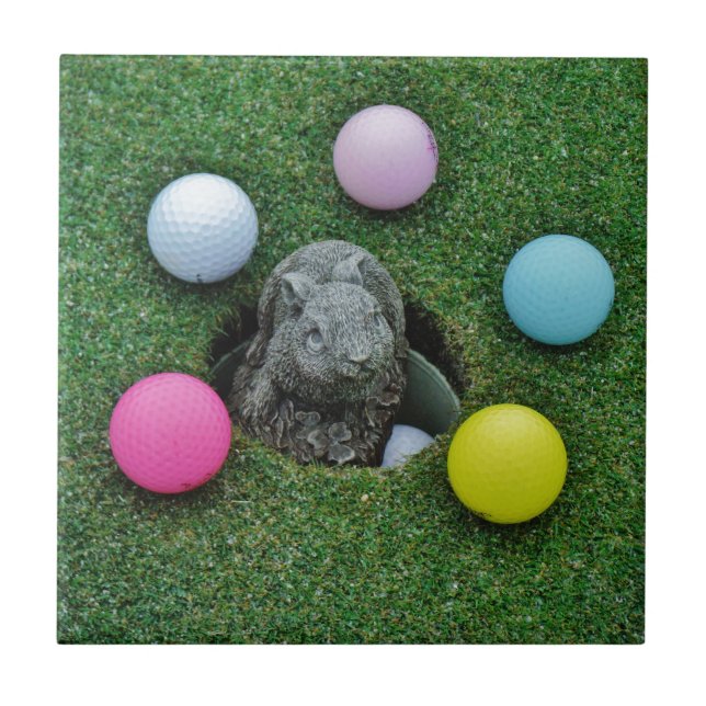 DSCF0698.JPG (Frente)