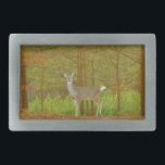 DSCF4041.JPG<br><div class="desc">Um veado no lago Arrohouad Deer na borda do veado, "caçador de veados", "presentes de veados", caçador, "presentes de caçador", "presentes de caçador", "presentes para caçadores de veados", "caçadores"</div>