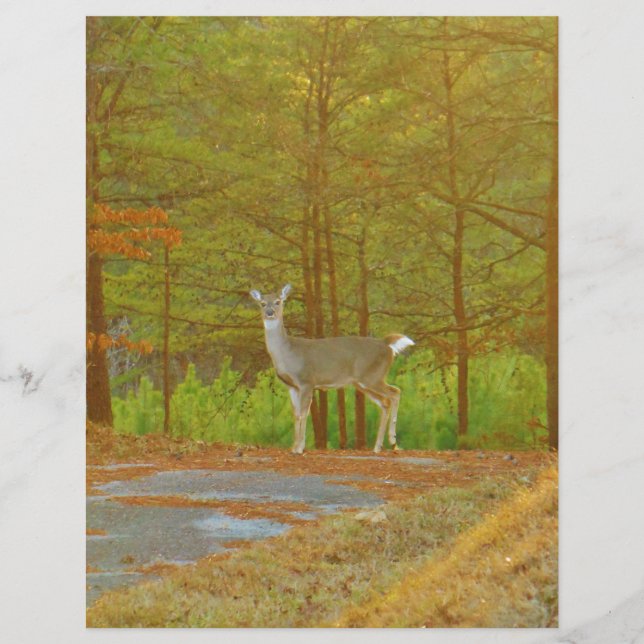 DSCF4041.JPG (Frente)