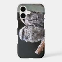 Duas Aves de Frogmouth Tawny