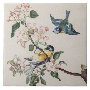 Duas aves de tenda em uma macieira