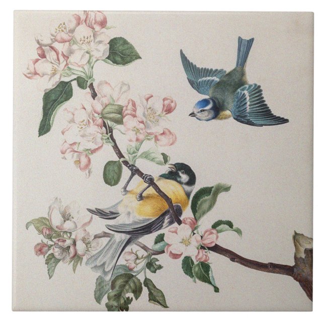 Duas aves de tenda em uma macieira (Frente)