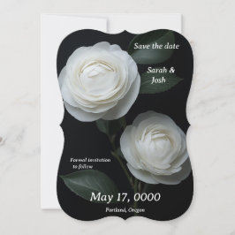 Duas camellias brancas na placa plana preta