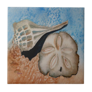 Duas cascas marítimas do Azulejo oceânico