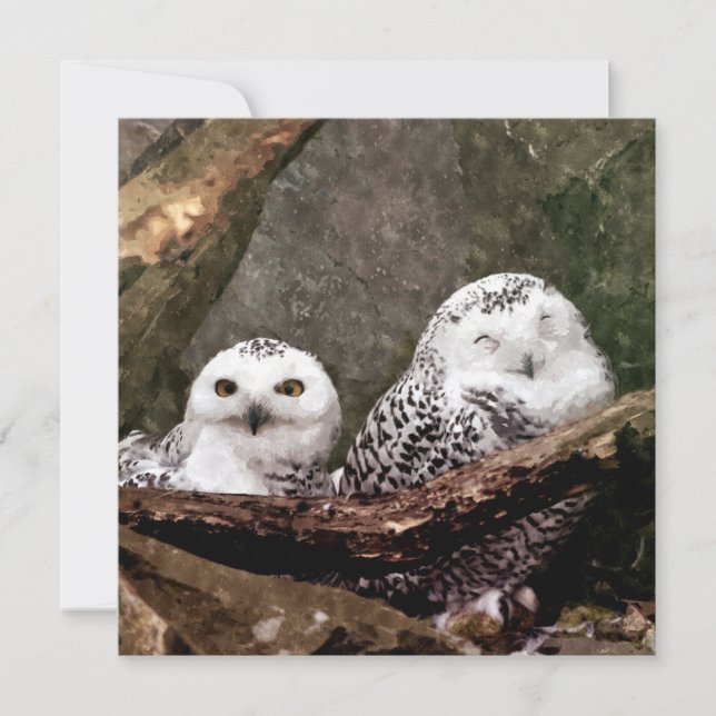 Duas Corujas (Frente)