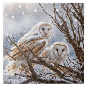 Duas Corujas no Sazonal Bonito da Neve