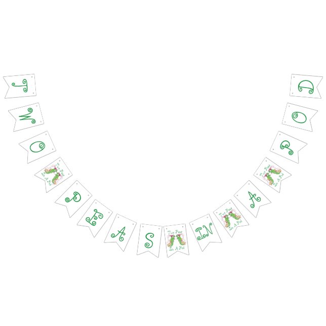 Duas ervilhas em um vagem juntam a bandeira (Todos)