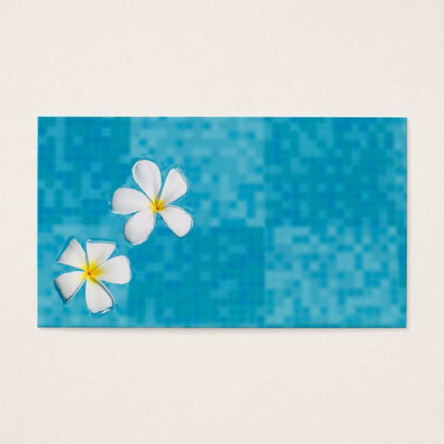 Duas flores de frangipani em água azul (Frente)