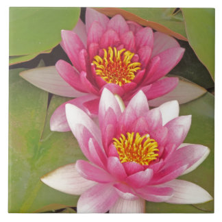 "DUAS FLORES DE LÓTUS ROSA" azulejo decorativo