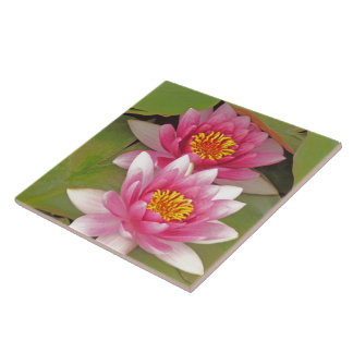 "DUAS FLORES DE LÓTUS ROSA" azulejo decorativo