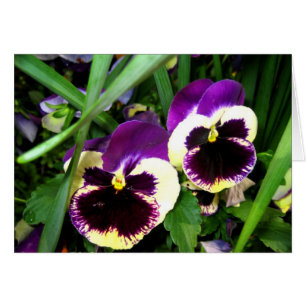 Duas flores do amor perfeito - cartão