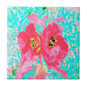 Duas Hibiscus Loucas de Coral Rosa em Água