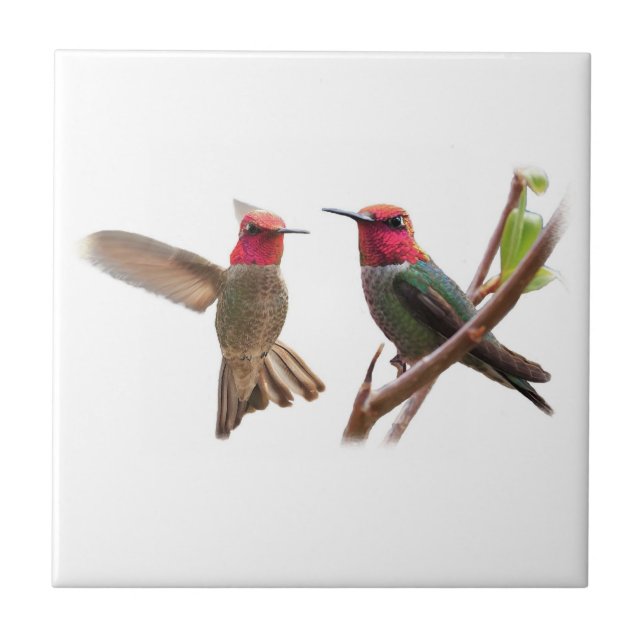 DUAS JÓIAS DE VOO (Frente)