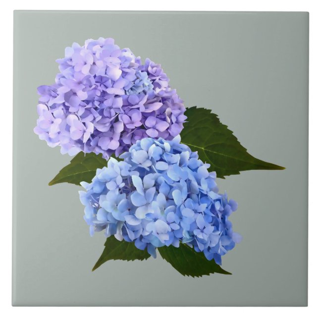 Duas Lavandas Hydrangea e Azul (Frente)