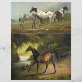 Duas lindas pinturas vitorianas dos cavalos