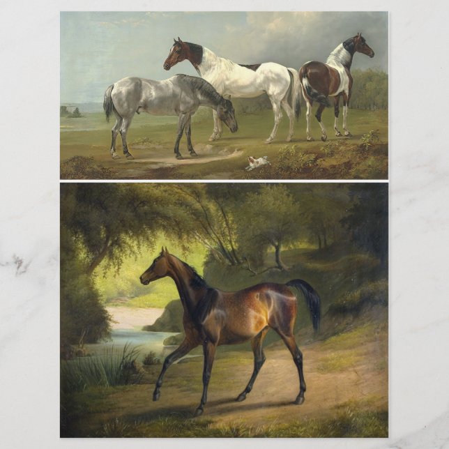 Duas lindas pinturas vitorianas dos cavalos (Frente)
