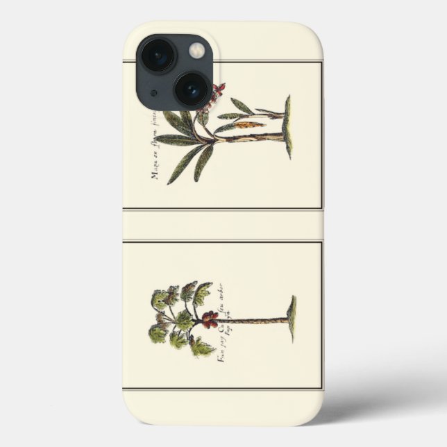 Duas Miniaturas de Palmeiras (Verso)