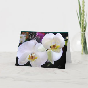 Duas Orquídeas, obrigado a anotar cartões