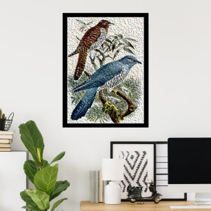 Duas Pássaros Cuckoo em Poster texturizados