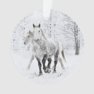 Duas Percheron Mares correm no Ornamento da Neve