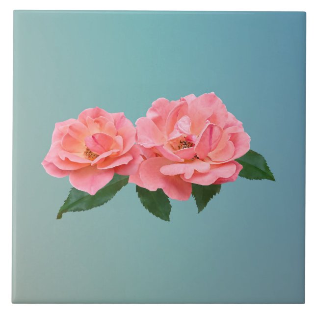 Duas Rosas Rosa Delicadas (Frente)